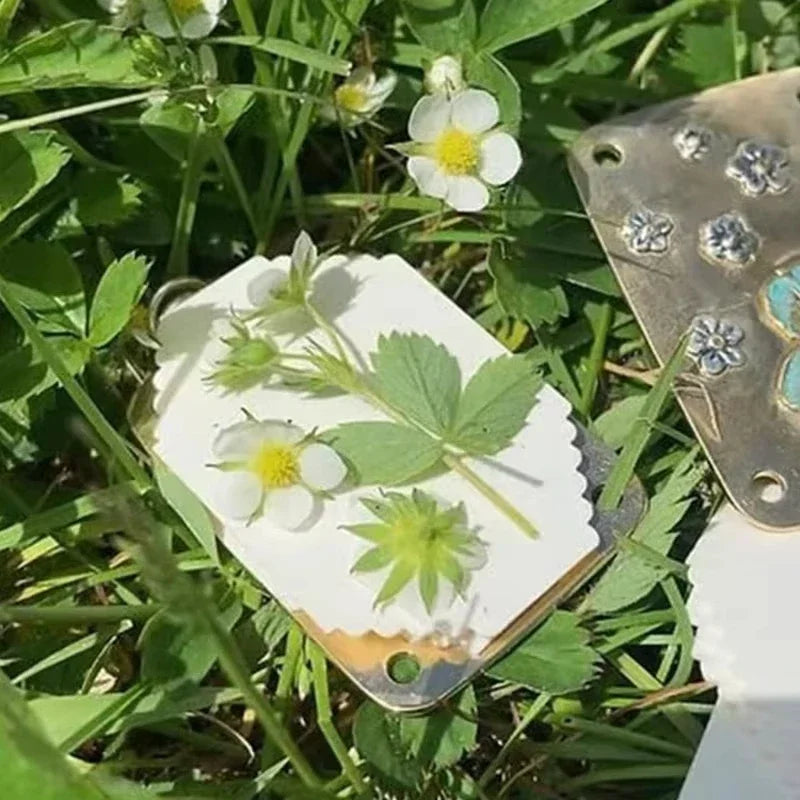Pocket Flower Press Kit – Preserve Real Blooms for Crafts & Keepsakes