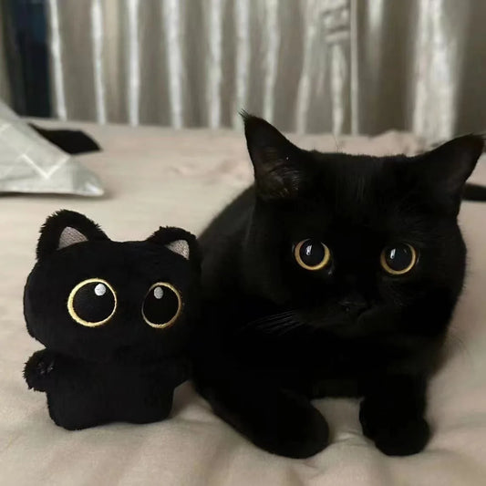 Mini Black Cat Plush – Pocket-Sized Cuteness for Lucky Vibes