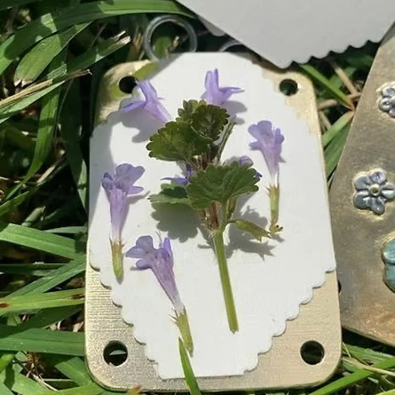 Pocket Flower Press Kit – Preserve Real Blooms for Crafts & Keepsakes